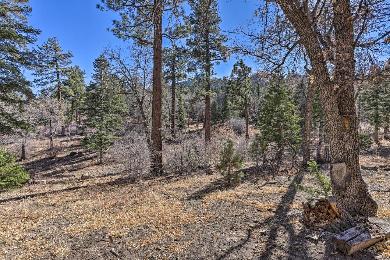 Willa Chocolate Moose Cabin Short Walk To Slopes Big Bear Lake Zewnętrze zdjęcie