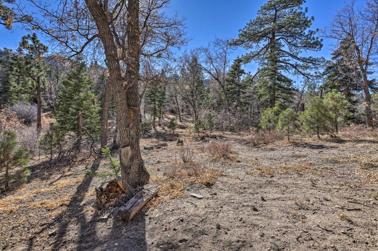 Willa Chocolate Moose Cabin Short Walk To Slopes Big Bear Lake Zewnętrze zdjęcie